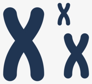 Dna Png Icon #8245952