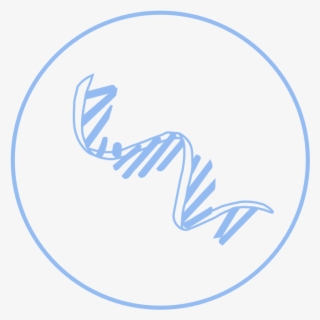 Efficient Packer Of Dna Wraps Dna Around Histone Proteins - Horizon Observatory #8246415