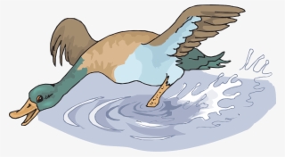 Water Splash Happy - Cartoon Duck Splashing #8246798