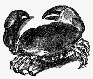 Crab Image Transfer Sea Life Ocean Illustration Artwork - Illustration #8247679