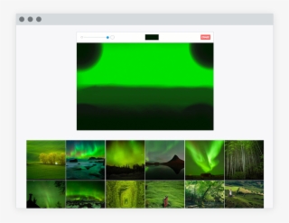 Forest #8249111