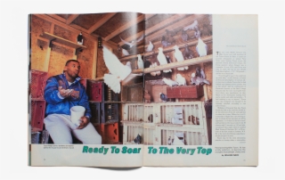 Tyson Pigeons #8251411