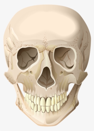 Skull Sticker - Crânio Png #8253641