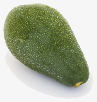 Avocado - Gourd #8254515