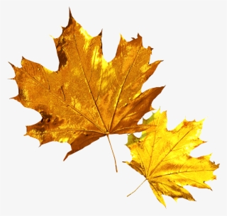 Gold Dimensional Luxury Metal Png And Psd - Metal #8254760