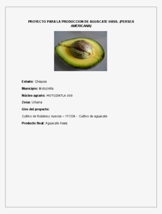 Docx - Partes De La Palta #8255375