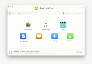 Apple Seeds New Os X - Winx Mediatrans #8255498