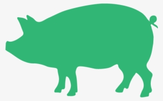 Illustrations Pigs Green - Sweat Like A Pig To Look Like #8256231