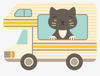 Chasing Booty Adventures - Black Cat #8256377