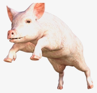 Pig Png Transparent Images - Pig Puns #8256578