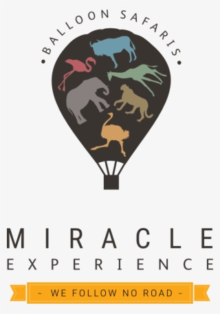 Hot Air Balloon - Miracle Experience #8256685