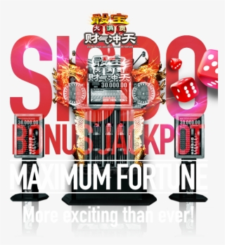 Maximum Fortune More Exciting Than Ever - Poster #8256730