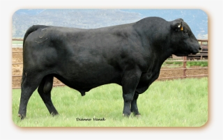 Emblazon - Cattle #8257717