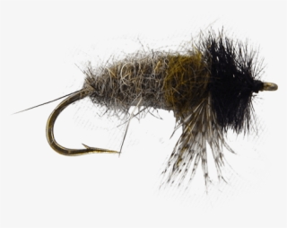 Insect #8257725