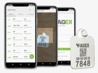 Herdsitemocup - Iphone #8257762