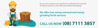 As Such, You Are Assured Of Affordable Stump Grinding - Services #8258890
