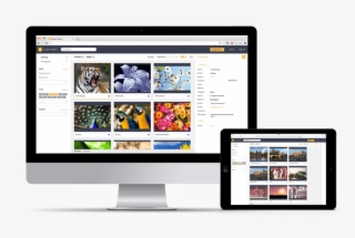 Medium Resolution - Imac Ipad Png #8258960