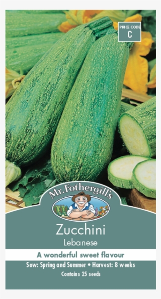 Mr Fothergill's Zucchini Lebanese Seeds - Lebanese Zucchini #8259044