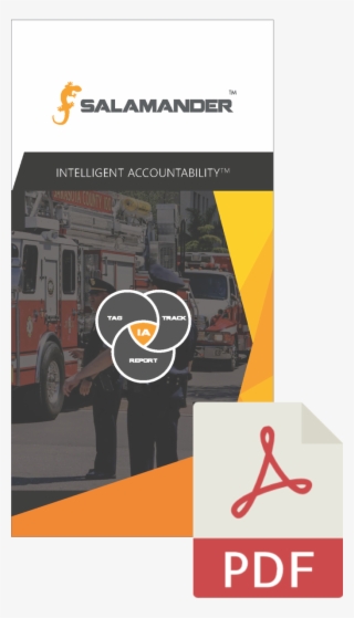 Salamander On Twitter - Graphic Design #8259160