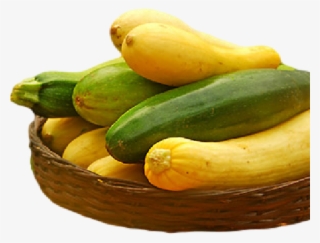 Zucchini #8259348