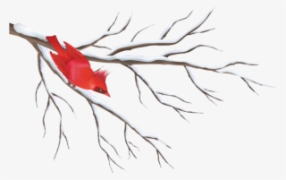 Free Png Winter Branch With Bird Png - Winter Berry Tree Drawing #8260015