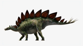 Stegosaurus - Stegosaurus Stenops Png #8260141