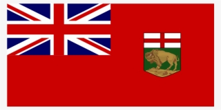Ca Mb Manitoba Flag Icon - Many Stars On The Nz Flag #8260498