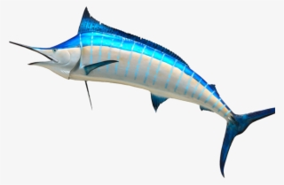 Swordfish Clipart Clip Art - Fish Head Png #8260544