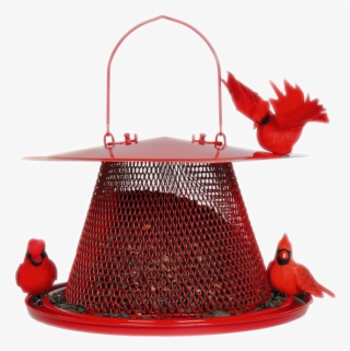 No/no Cardinal Red Bird Feeder, Metal, - Cardinal Bird Feeder #8260603