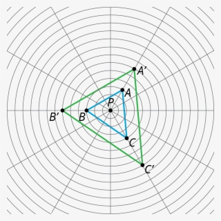 Since The Circles On The Grid Are The Same Distance - Dilation On Circular Grid #8261670