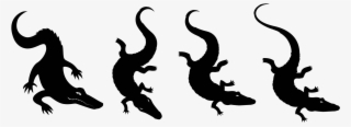 Gator Studies - Crocodile #8262255