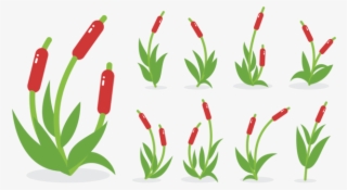 Cattails Png - Tanaman Cabe Vector #8262737