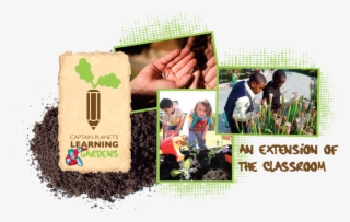 Captain Planet's Learning Garden's Program Provides - Soil #8263494