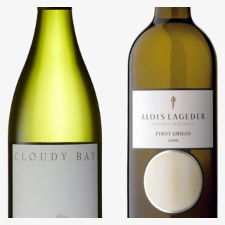 Pinot Grigio To Take Sauvignon Blanc's 'great White' - Alois Lageder #8264226