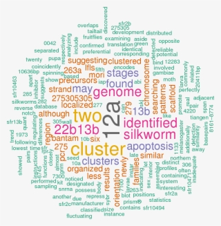 Stem Loop Sequence Bmo Mir 13a - Calligraphy #8265165