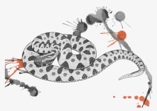 Venomous Pharmaceuticals Sistrusrus Miliarius Barbouri - Pigmy Rattlesnake Drawing #8265636