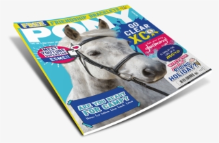 Magazine Png Free Photo - Stallion #8266445