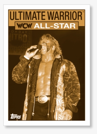 Gallery - Ultimate Warrior Wwe Magazine #8266995