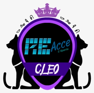 Re Acce Cs #8268792