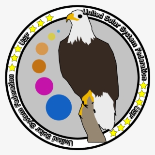 Usf Emblem 742×720 - Печать Синяя Png #8269505