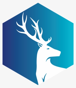 Gwydion Virtual Reality For Cutting Edge Research And #8270302