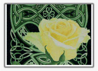 “emerald Enchantment” Close-up St - Floribunda #8271308