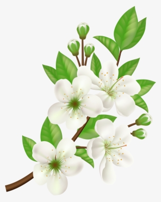 Royalty-free Computer Icons Flower - White Flower Vector Png #8272521