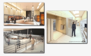 Jfk Adds An Ark To Improve Its Animal Cargo Traffic - Caballerizas Mas Lujosas Del Mundo #8273011