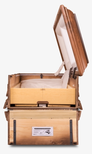 Log - Plywood #8273811