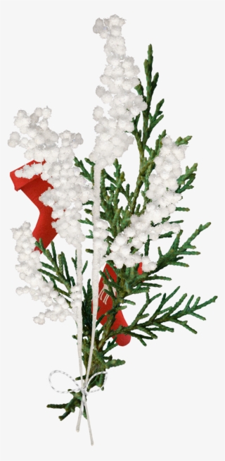 Фото, Автор Manul На Яндекс - Christmas Tree #8275258