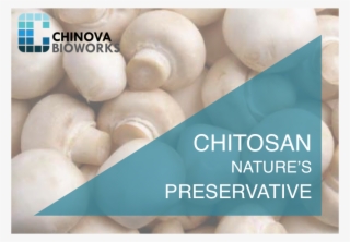 Mushroom Chitosan Offers Clean Label Products - Hampshire Fire And Rescue Service #8275551