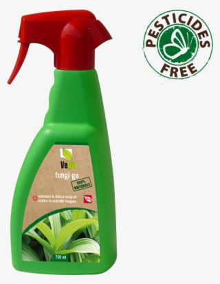 Fungi Go - Aloe #8275645