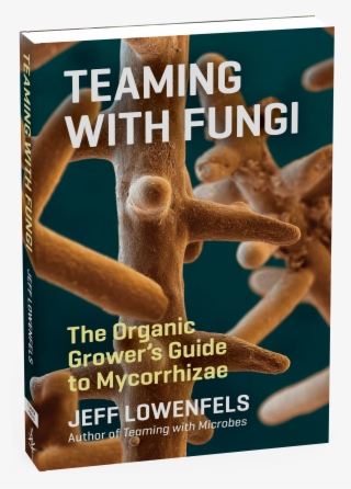 Fungi Png #8275884