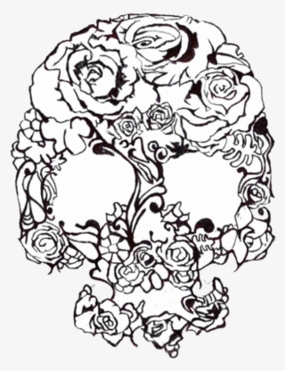 800 X 800 4 - Sketch #8277816